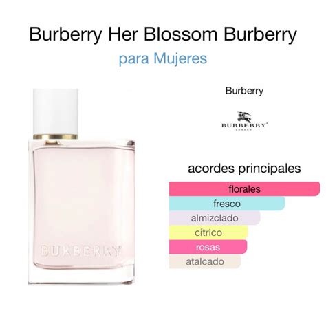 burberry her notas|Burberry Her eau toilette 2022.